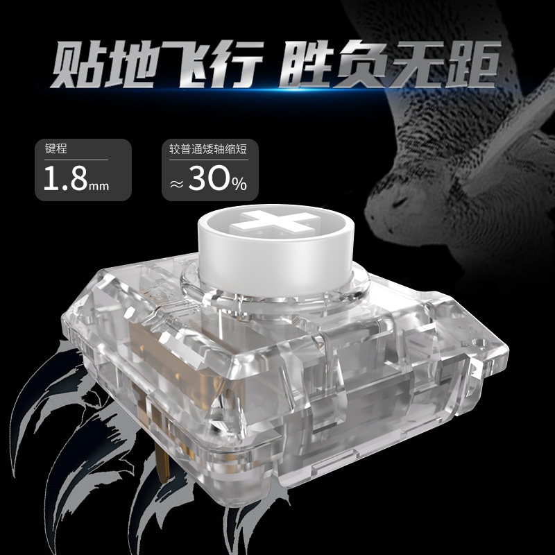 Kailh Choc White Owl Switch Mi - Pc Gaming White ulasan dan harga