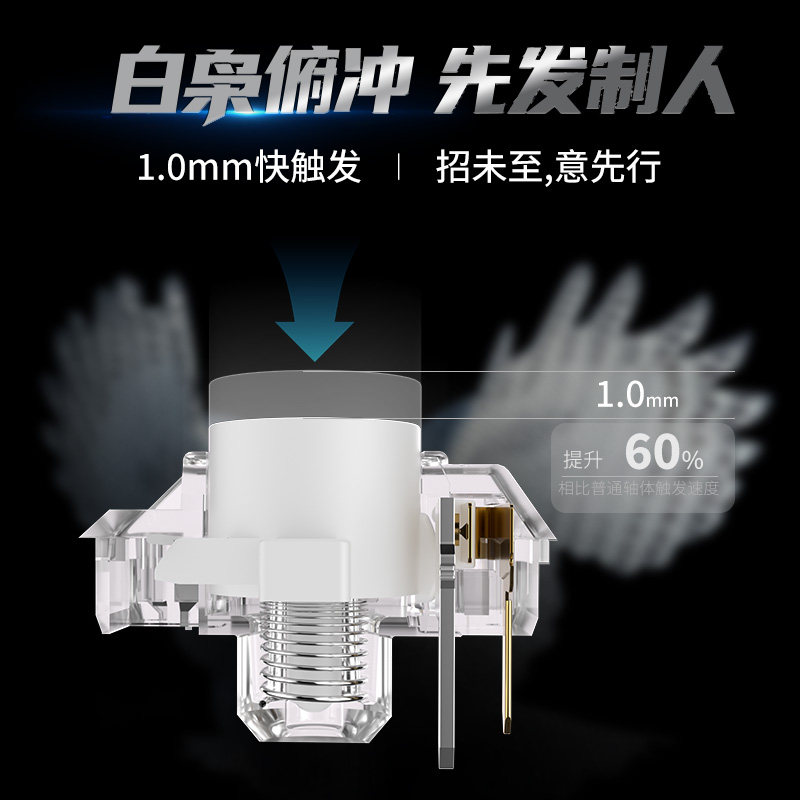Kailh Choc White Owl Switch Mi - Pc Gaming White ulasan dan harga